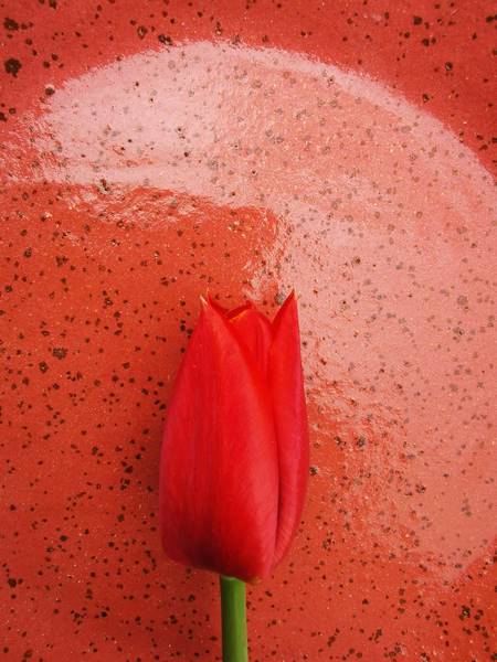 Zbliżenie na szkliwo malinowego talerzyka ceramicznego handmade