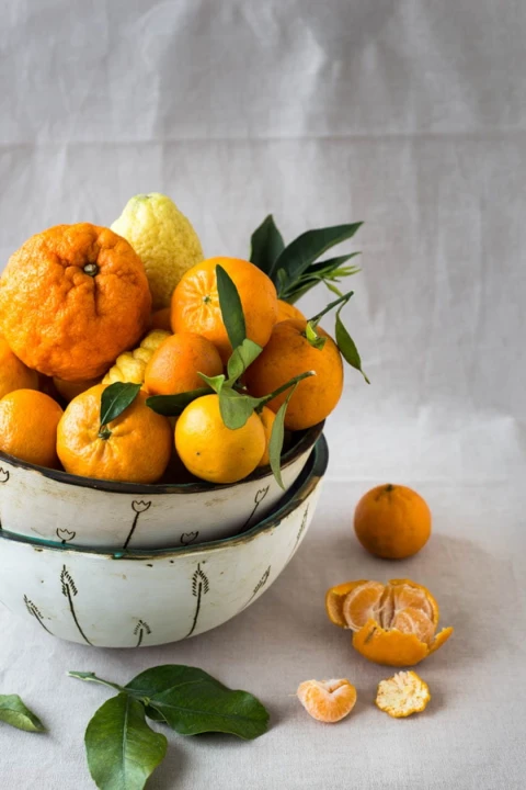 2c62fa0c98b89bcdeb9d68900ad02fea