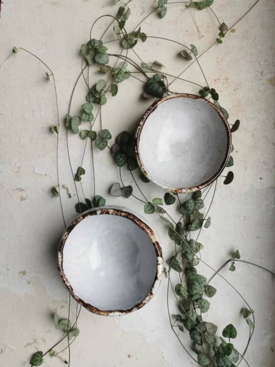 25423c90ebf3d1de2f56b33ee8d98556