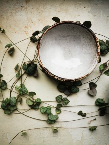 40faecd4987d5130a8f31f3e8ca50742