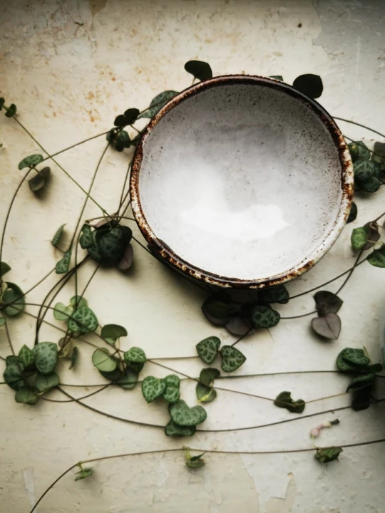 40faecd4987d5130a8f31f3e8ca50742