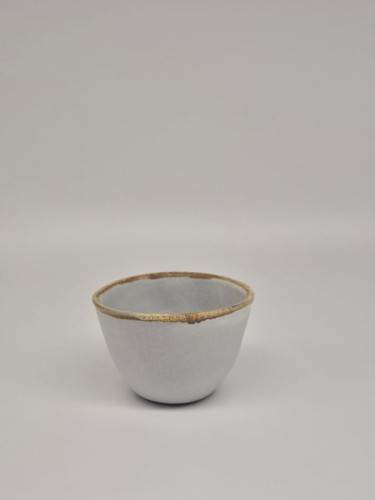 O50P100N101-1 (1).jpg