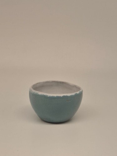 O35CZ70N288-1  (1).jpg