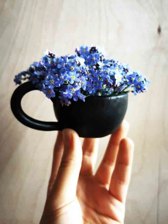 9fc40040810cec05e0f3dfbd6289f3e7