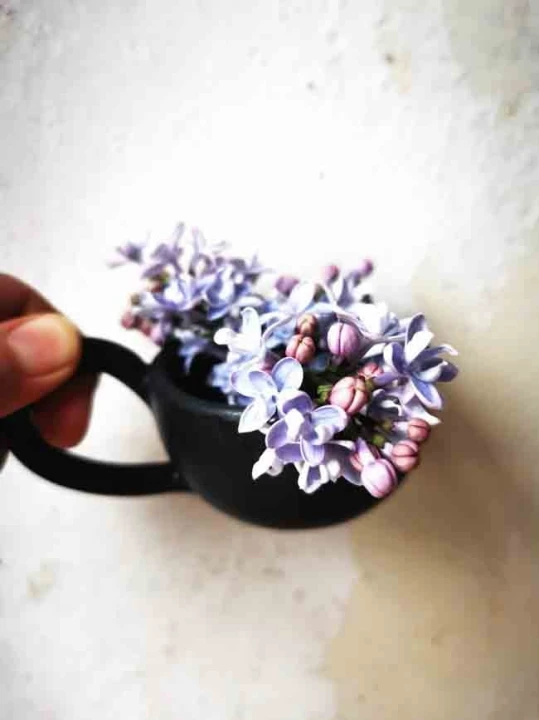 a7564f0059b28b26f0f89cfd4255be89