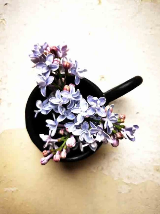 0b4899b6462dfa1fcf3ceac97a457f24