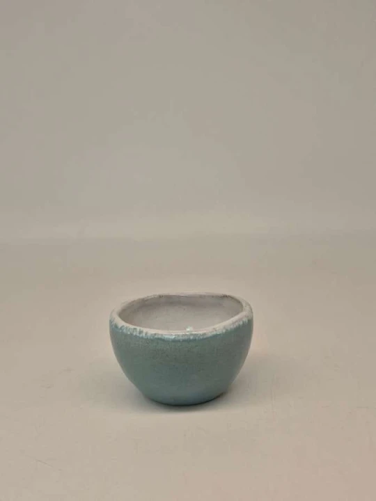O50P70N655 (1).jpg