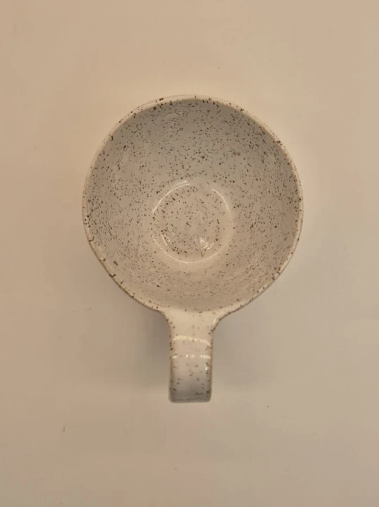 O25P200N1120B .jpg