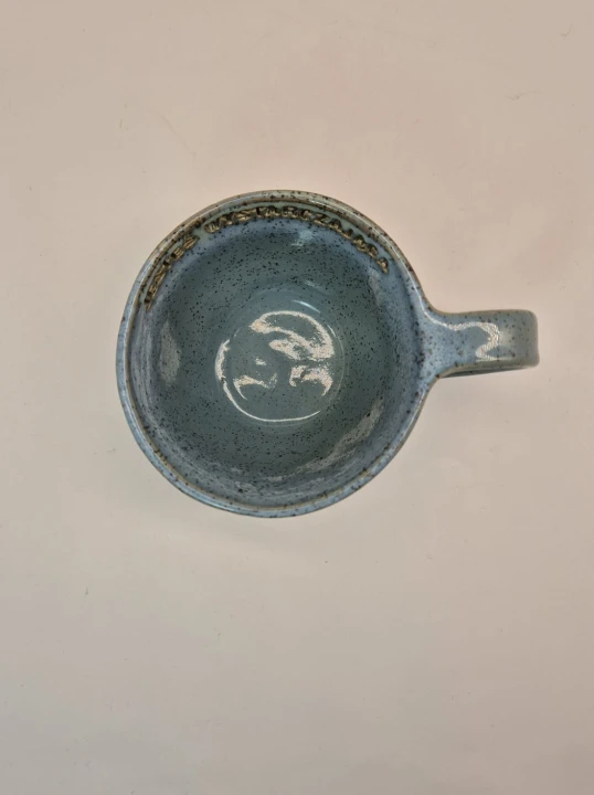 O25P300N1301b (1).jpg