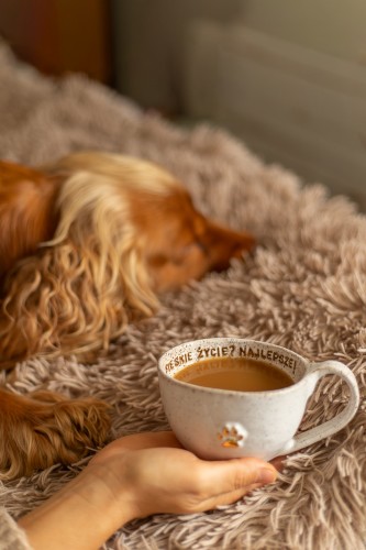 Filiżanka ceramiczna 300 ml stracciatella ze złotą łapką i afirmacją trzymana w dłoni, w tle pies