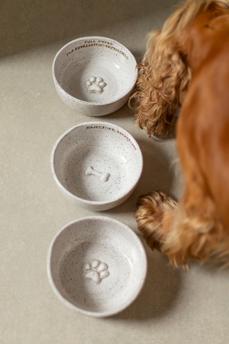 Trzy ceramiczne miski dla psa 700 ml w kolorze stracciatella z łapką i kostką, obok pies