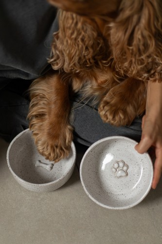 Personalizowana miska dla psa 700 ml z napisem i łapką, obok pies